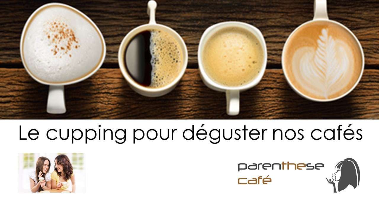 Le cupping dans la dégustation des cafés - Parenthese Café