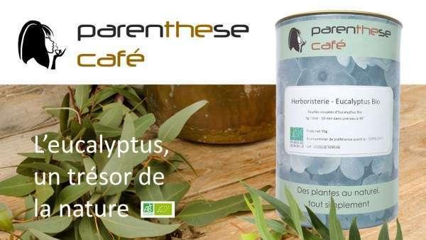 Tisane d'eucalyptus Bio - Vente a domicile Parenthese Café