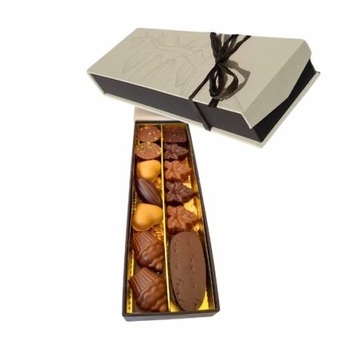 Chocolats fins et artisanaux en étui plumier v3